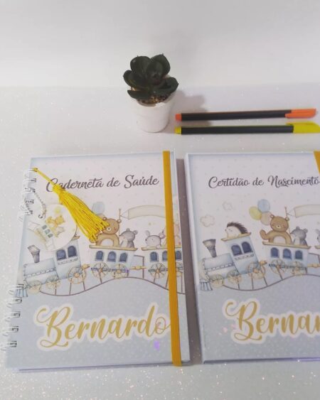 Caderneta de Vacina + Porta Certidão - Bichinhos no Trem