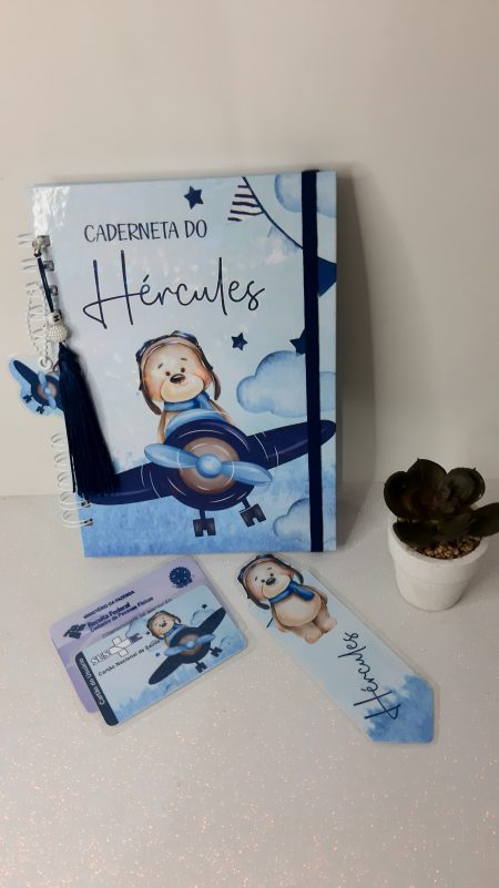 Caderneta de Vacina - Ursinho Aviador